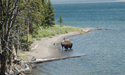 Lake at Yellowstone