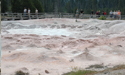 Yellowstone